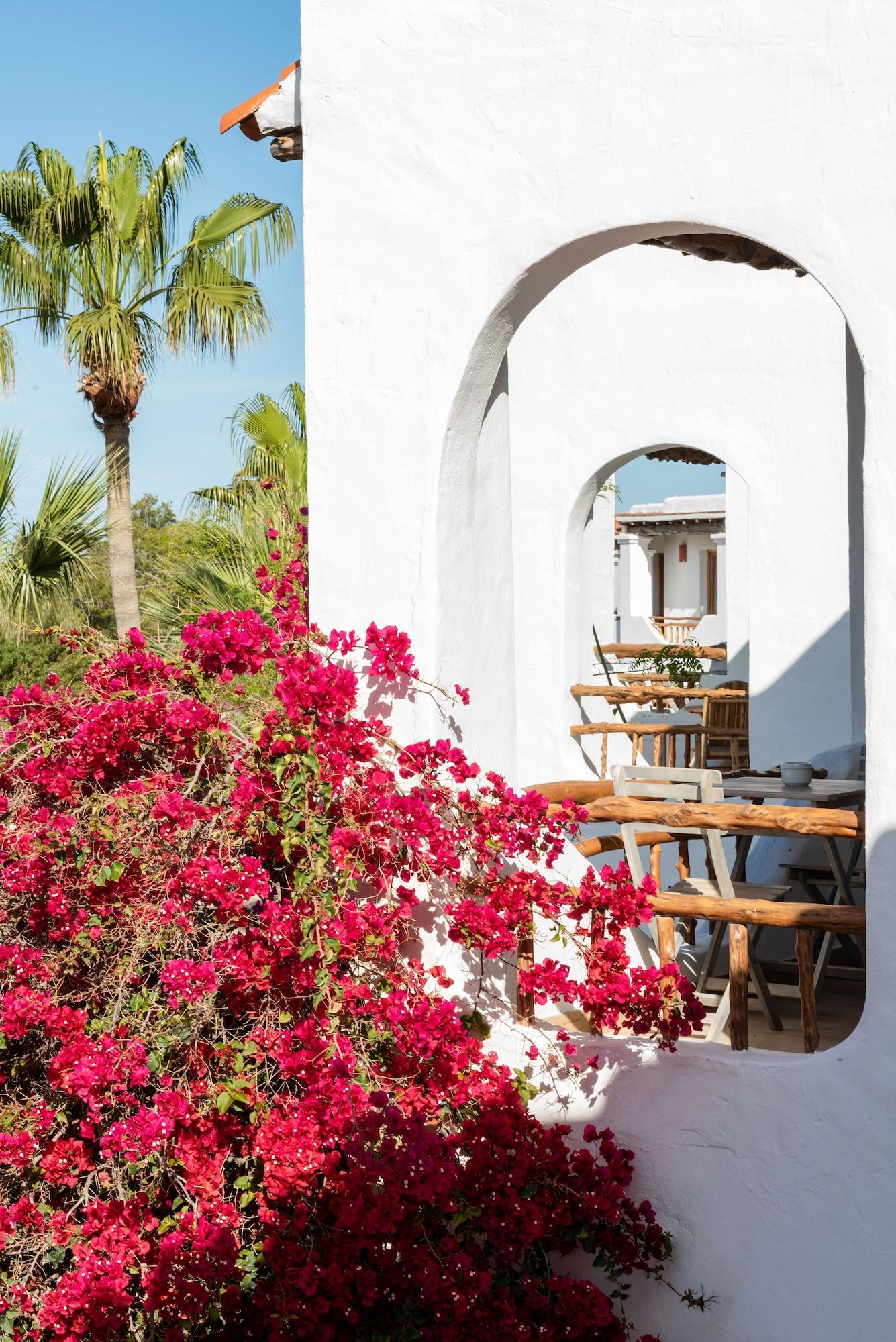Petunia Ibiza (Adults Only) Hotel Cala Vadella  Kültér fotó